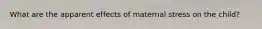 What are the apparent effects of maternal stress on the child?
