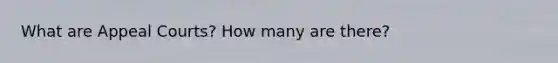 What are Appeal Courts? How many are there?