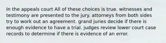 In the appeals court All of these choices is true. witnesses and testimony are presented to the jury. attorneys from both sides try to work out an agreement. grand juries decide if there is enough evidence to have a trial. judges review lower court case records to determine if there is evidence of an error.