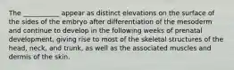 The ___________ appear as distinct elevations on the surface of the sides of the embryo after differentiation of the mesoderm and continue to develop in the following weeks of prenatal development, giving rise to most of the skeletal structures of the head, neck, and trunk, as well as the associated muscles and dermis of the skin.