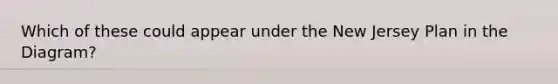 Which of these could appear under the New Jersey Plan in the Diagram?