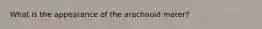 What is the appearance of the arachnoid mater?