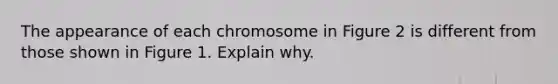 The appearance of each chromosome in Figure 2 is different from those shown in Figure 1. Explain why.