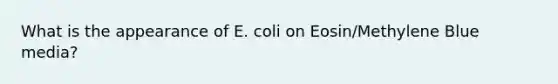 What is the appearance of E. coli on Eosin/Methylene Blue media?