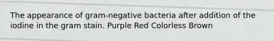 The appearance of gram-negative bacteria after addition of the iodine in the gram stain. Purple Red Colorless Brown