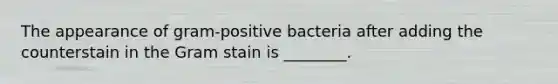 The appearance of gram-positive bacteria after adding the counterstain in the Gram stain is ________.