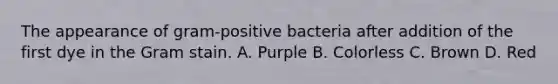 The appearance of gram-positive bacteria after addition of the first dye in the Gram stain. A. Purple B. Colorless C. Brown D. Red