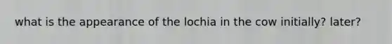 what is the appearance of the lochia in the cow initially? later?