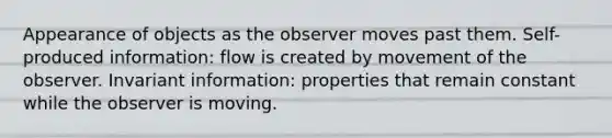 Appearance of objects as the observer moves past them. Self-produced information: flow is created by movement of the observer. Invariant information: properties that remain constant while the observer is moving.