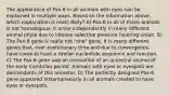 The appearance of Pax-6 in all animals with eyes can be explained in multiple ways. Based on the information above, which explanation is most likely? A) Pax-6 in all of these animals is not homologous; it arose independently in many different animal phyla due to intense selective pressure favoring vision. B) The Pax-6 gene is really not "one" gene. It is many different genes that, over evolutionary time and due to convergence, have come to have a similar nucleotide sequence and function. C) The Pax-6 gene was an innovation of an ancestral animal of the early Cambrian period. Animals with eyes or eyespots are descendants of this ancestor. D) The perfectly designed Pax-6 gene appeared instantaneously in all animals created to have eyes or eyespots.