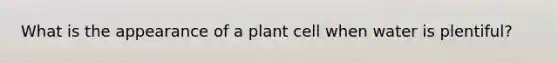 What is the appearance of a plant cell when water is plentiful?