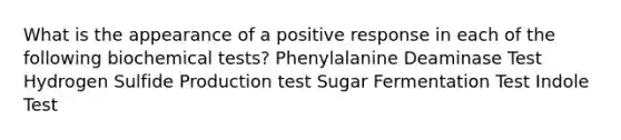 What is the appearance of a positive response in each of the following biochemical tests? Phenylalanine Deaminase Test Hydrogen Sulfide Production test Sugar Fermentation Test Indole Test