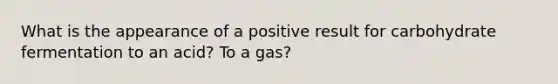 What is the appearance of a positive result for carbohydrate fermentation to an acid? To a gas?