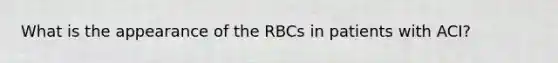 What is the appearance of the RBCs in patients with ACI?