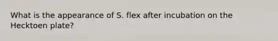 What is the appearance of S. flex after incubation on the Hecktoen plate?