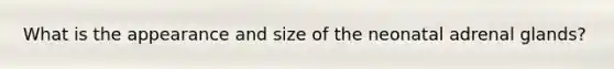 What is the appearance and size of the neonatal adrenal glands?