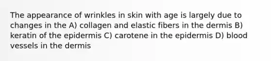 The appearance of wrinkles in skin with age is largely due to changes in the A) collagen and elastic fibers in the dermis B) keratin of the epidermis C) carotene in the epidermis D) blood vessels in the dermis