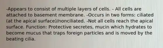 -Appears to consist of multiple layers of cells. - All cells are attached to basement membrane. -Occurs in two forms: ciliated (at the apical surface)/nonciliated. -Not all cells reach the apical surface. Function: Protective secretes, mucin which hydrates to become mucus that traps foreign particles and is moved by the beating cilia.