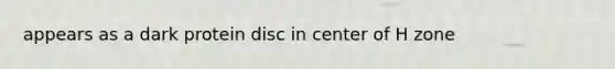 appears as a dark protein disc in center of H zone