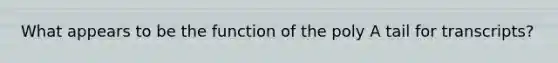 What appears to be the function of the poly A tail for transcripts?