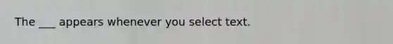 The ___ appears whenever you select text.