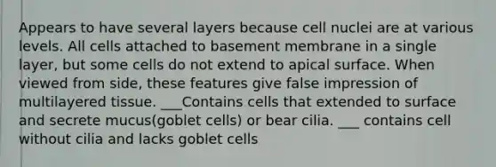 Appears to have several layers because cell nuclei are at various levels. All cells attached to basement membrane in a single layer, but some cells do not extend to apical surface. When viewed from side, these features give false impression of multilayered tissue. ___Contains cells that extended to surface and secrete mucus(goblet cells) or bear cilia. ___ contains cell without cilia and lacks goblet cells