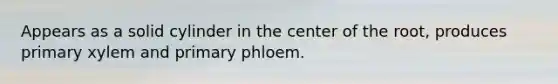 Appears as a solid cylinder in the center of the root, produces primary xylem and primary phloem.