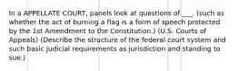 In a APPELLATE COURT, panels look at questions of ___. (such as whether the act of burning a flag is a form of speech protected by the 1st Amendment to the Constitution.) (U.S. Courts of Appeals) (Describe the structure of the federal court system and such basic judicial requirements as jurisdiction and standing to sue.)