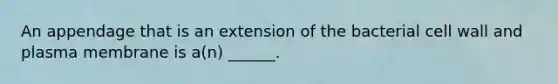 An appendage that is an extension of the bacterial cell wall and plasma membrane is a(n) ______.