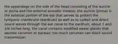 the appendage on the side of the head consisting of the auricle or pinna and the external acoustic meatus; the auricle (pinna) is the external portion of the ear that serves to protect the tympanic membrane (eardrum) as well as to collect and direct sound waves through the ear canal to the eardrum; about 1 and 1/4 inches long, the canal contains modified sweat glands that secrete cerumen or earwax; too much cerumen can block sound transmission