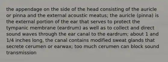 the appendage on the side of the head consisting of the auricle or pinna and the external acoustic meatus; the auricle (pinna) is the external portion of the ear that serves to protect the tympanic membrane (eardrum) as well as to collect and direct sound waves through the ear canal to the eardrum; about 1 and 1/4 inches long, the canal contains modified sweat glands that secrete cerumen or earwax; too much cerumen can block sound transmission