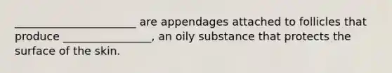 ______________________ are appendages attached to follicles that produce ________________, an oily substance that protects the surface of the skin.