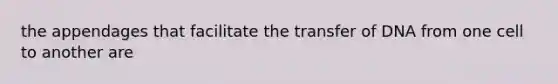 the appendages that facilitate the transfer of DNA from one cell to another are