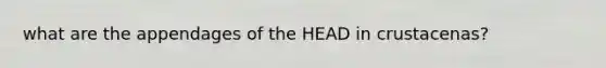 what are the appendages of the HEAD in crustacenas?