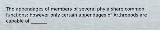 The appendages of members of several phyla share common functions: however only certain appendages of Arthropods are capable of _______