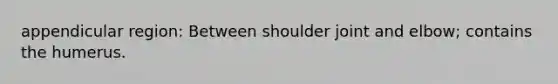 appendicular region: Between shoulder joint and elbow; contains the humerus.