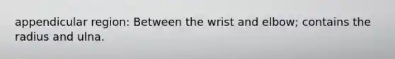 appendicular region: Between the wrist and elbow; contains the radius and ulna.