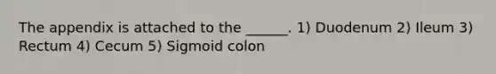 The appendix is attached to the ______. 1) Duodenum 2) Ileum 3) Rectum 4) Cecum 5) Sigmoid colon