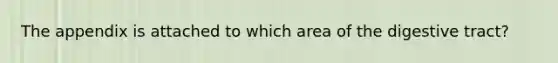 The appendix is attached to which area of the digestive tract?