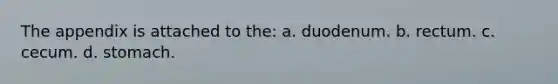 The appendix is attached to the: a. duodenum. b. rectum. c. cecum. d. stomach.