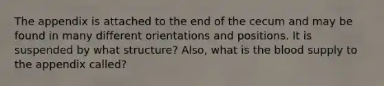 The appendix is attached to the end of the cecum and may be found in many different orientations and positions. It is suspended by what structure? Also, what is the blood supply to the appendix called?