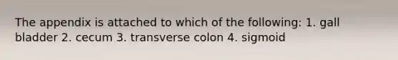 The appendix is attached to which of the following: 1. gall bladder 2. cecum 3. transverse colon 4. sigmoid