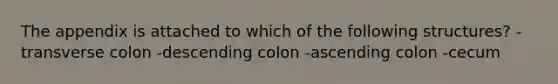 The appendix is attached to which of the following structures? -transverse colon -descending colon -ascending colon -cecum