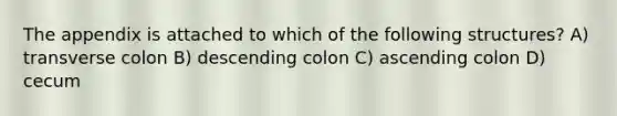 The appendix is attached to which of the following structures? A) transverse colon B) descending colon C) ascending colon D) cecum