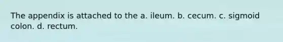 The appendix is attached to the a. ileum. b. cecum. c. sigmoid colon. d. rectum.