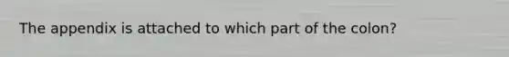 The appendix is attached to which part of the colon?