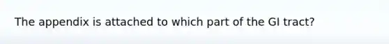 The appendix is attached to which part of the GI tract?