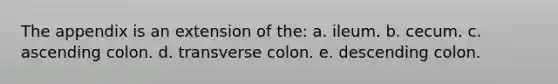 The appendix is an extension of the: a. ileum. b. cecum. c. ascending colon. d. transverse colon. e. descending colon.