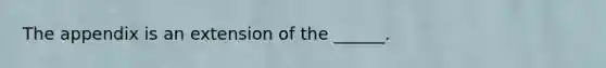 The appendix is an extension of the ______.