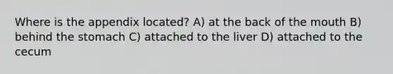 Where is the appendix located? A) at the back of the mouth B) behind the stomach C) attached to the liver D) attached to the cecum